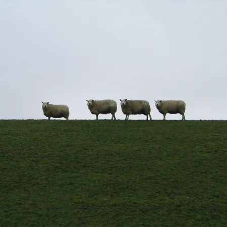 Nordseeresort & Arche Noah 公寓式酒店