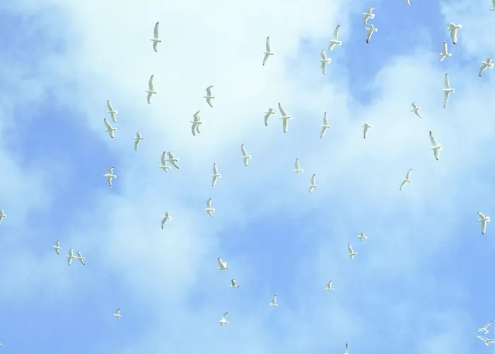 Lejlighedshotel Nordseeresort & Arche Noah